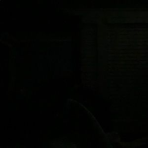 Meet your Posher, Shawn